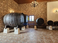 Moradia - Landal, Caldas da Rainha, Leiria - Miniatura: 13/34