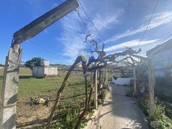 Moradia T3 - P�voa da Isenta, Santar�m, Santar�m - Miniatura: 42/43