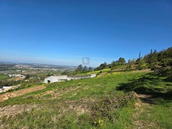 Terreno R�stico T0 - Lamas, Cadaval, Lisboa - Miniatura: 2/9