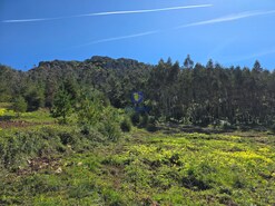 Terreno R�stico T0 - Lamas, Cadaval, Lisboa - Miniatura: 3/9