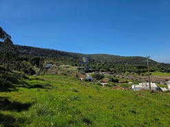 Terreno R�stico T0 - Lamas, Cadaval, Lisboa - Miniatura: 4/9