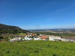 Terreno R�stico T0 - Lamas, Cadaval, Lisboa - Miniatura: 6/9