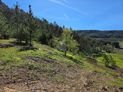 Terreno R�stico T0 - Lamas, Cadaval, Lisboa - Miniatura: 9/9