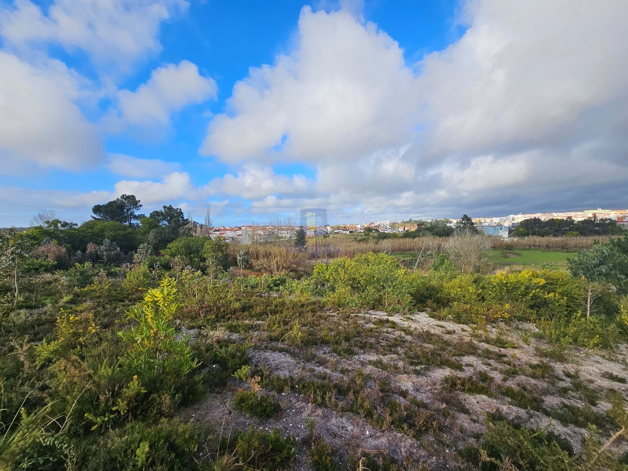 Terreno R�stico T0 - Santo Onofre, Caldas da Rainha, Leiria - Miniatura: 13/18