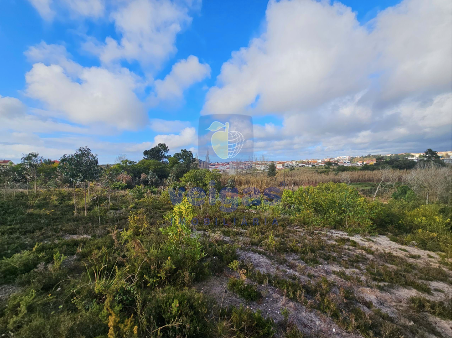 Terreno R�stico T0 - Santo Onofre, Caldas da Rainha, Leiria - Miniatura: 18/18