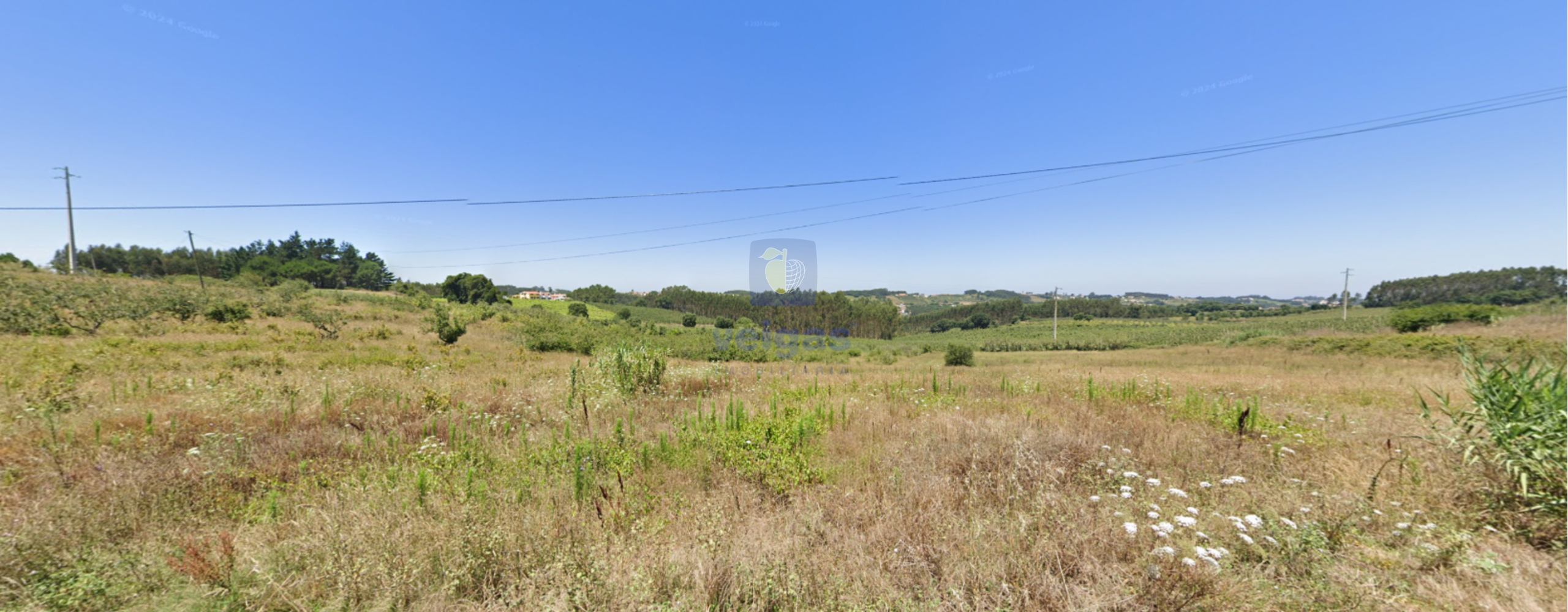 Terreno R�stico T0 - Carvalhal, Bombarral, Leiria - Miniatura: 2/10