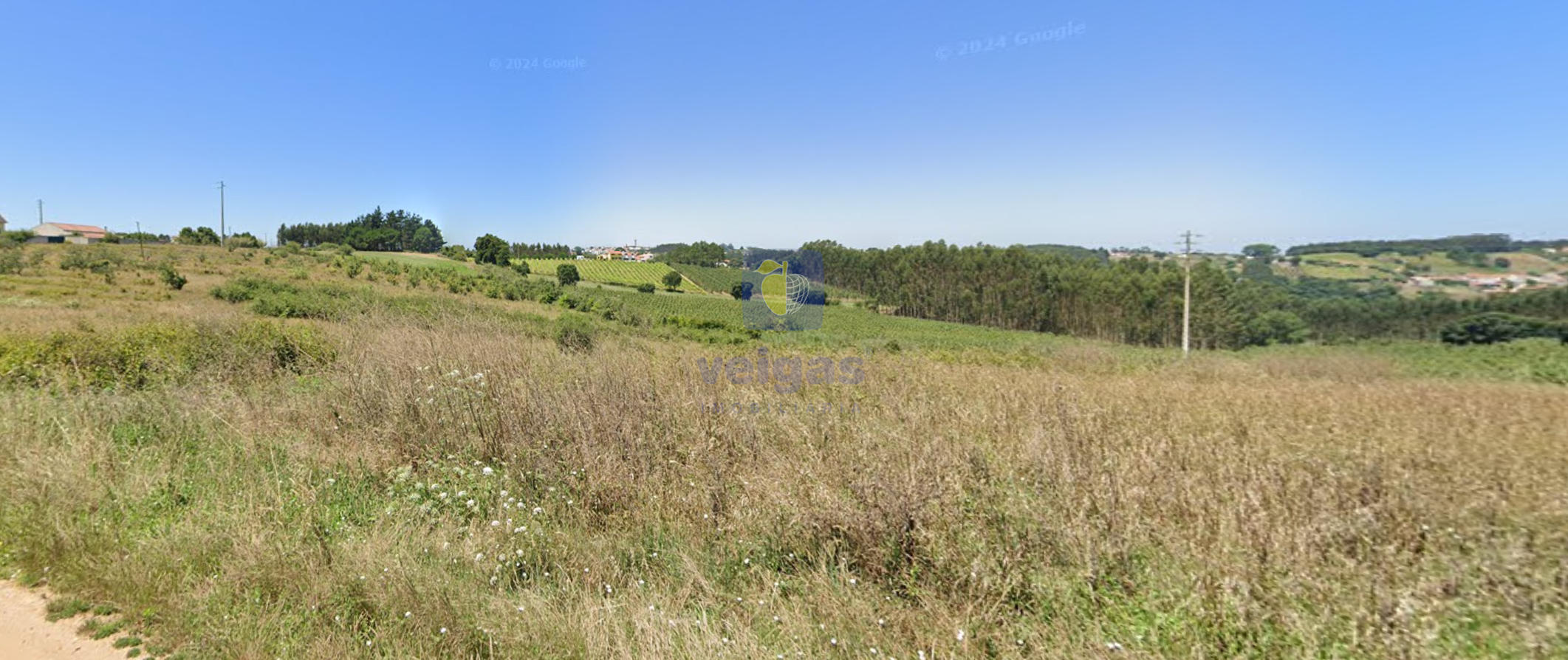 Terreno R�stico T0 - Carvalhal, Bombarral, Leiria - Miniatura: 5/10