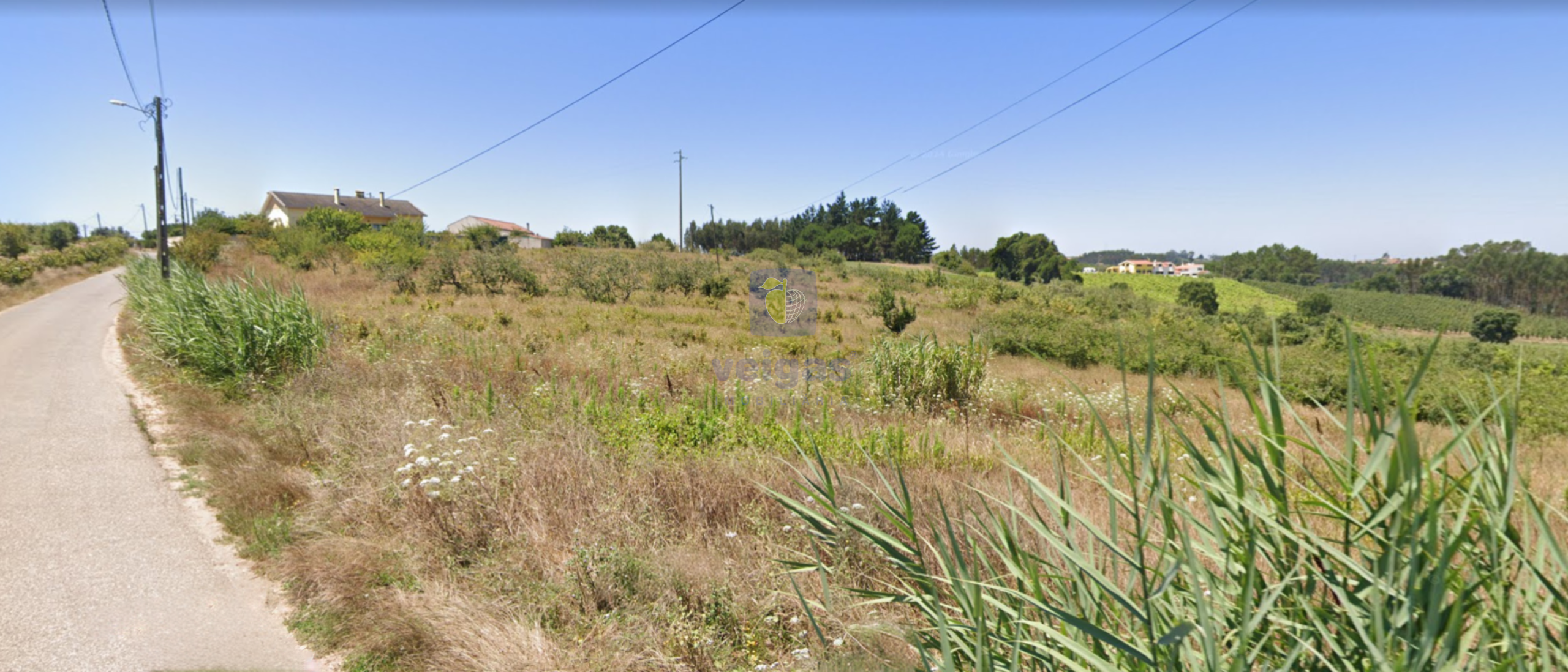 Terreno R�stico T0 - Carvalhal, Bombarral, Leiria - Miniatura: 9/10