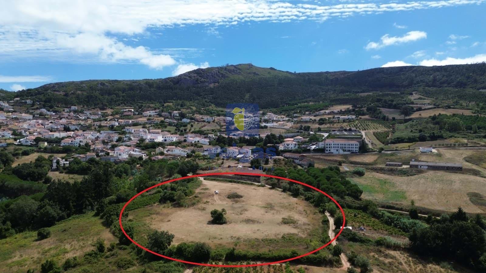 Terreno R�stico T0 - Lamas, Cadaval, Lisboa - Miniatura: 4/13