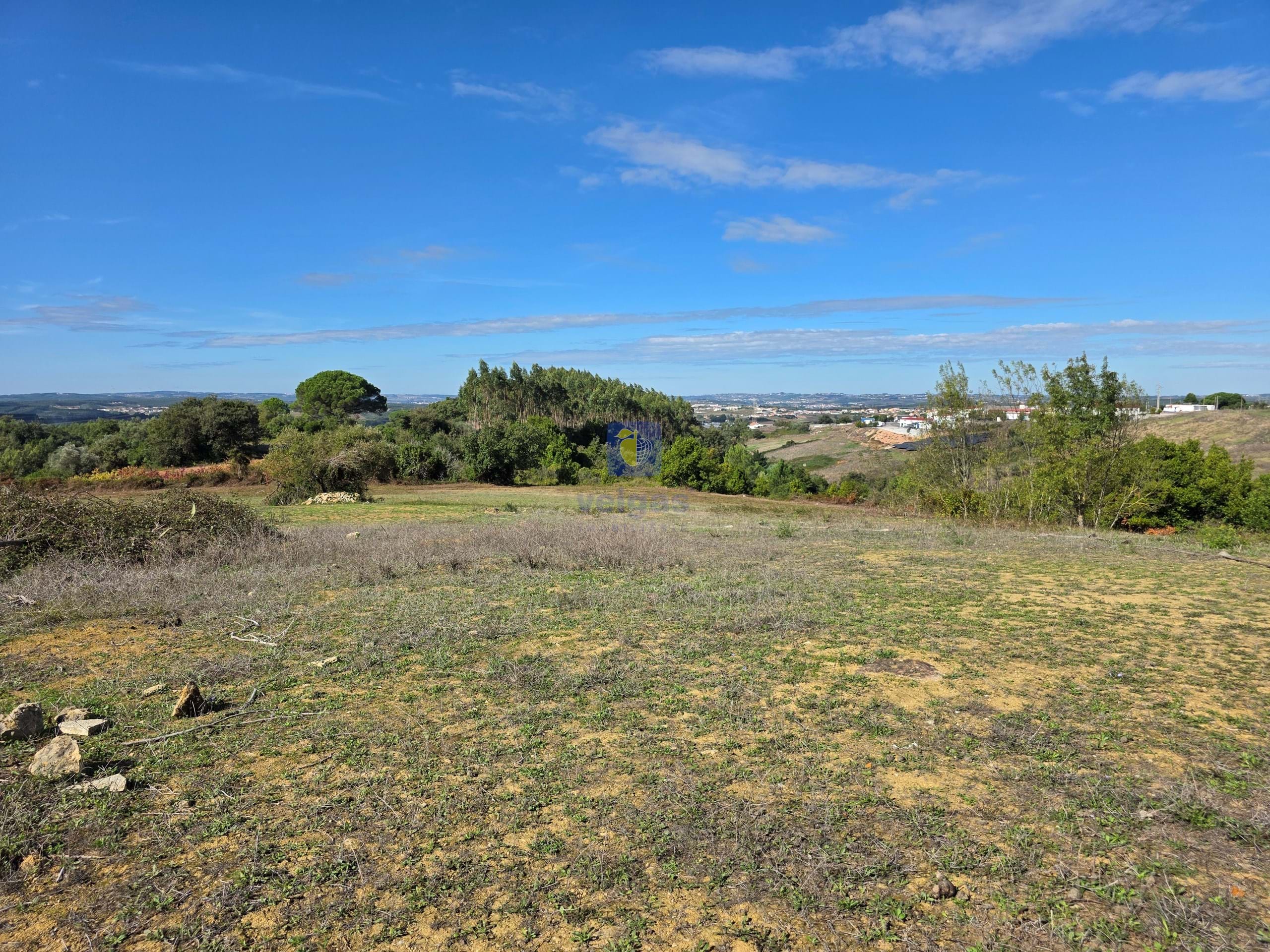 Terreno R�stico T0 - Lamas, Cadaval, Lisboa - Miniatura: 5/13