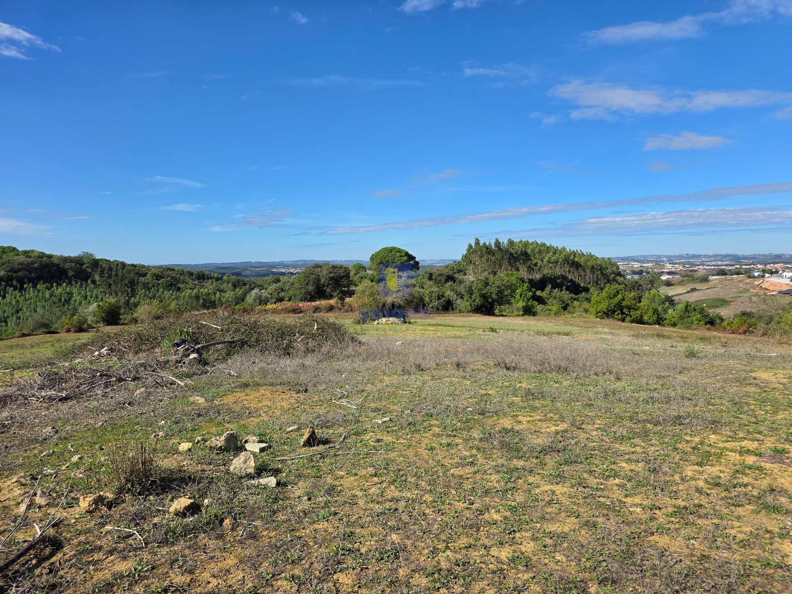 Terreno R�stico T0 - Lamas, Cadaval, Lisboa - Miniatura: 6/13