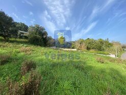 Terreno R�stico T0 - Salir de Matos, Caldas da Rainha, Leiria - Miniatura: 6/14