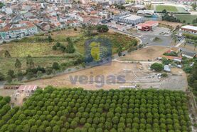 Terreno R�stico T0 - Santo Onofre, Caldas da Rainha, Leiria - Miniatura: 2/15