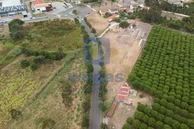 Terreno R�stico T0 - Santo Onofre, Caldas da Rainha, Leiria - Miniatura: 3/15