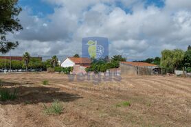 Terreno R�stico T0 - Santo Onofre, Caldas da Rainha, Leiria - Miniatura: 11/15