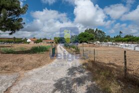 Terreno R�stico T0 - Santo Onofre, Caldas da Rainha, Leiria - Miniatura: 12/15