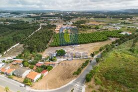 Terreno R�stico T0 - Santo Onofre, Caldas da Rainha, Leiria - Miniatura: 15/15