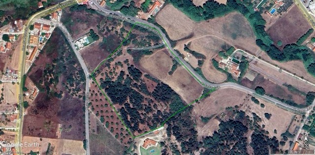 Terreno Rústico T0 - Pontével, Cartaxo, Santarém - Imagem grande