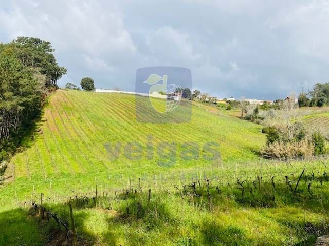 Terreno R�stico T0 - Caldas da Rainha, Caldas da Rainha, Leiria - Imagem grande