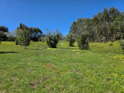 Terreno R�stico T0 - Lamas, Cadaval, Lisboa