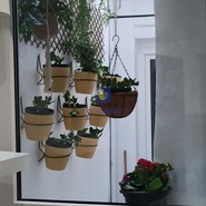 Apartamento T3 - Caldas da Rainha, Caldas da Rainha, Leiria - Miniatura: 4/11