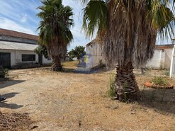 Moradia T2 - Vila Ch de Ourique, Cartaxo, Santarm - Miniatura: 5/42