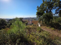 Quinta T4 - Venda do Pinheiro, Mafra, Lisboa - Miniatura: 6/38