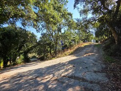 Quinta T4 - Venda do Pinheiro, Mafra, Lisboa - Miniatura: 10/38