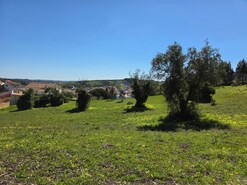 Terreno R�stico T0 - Lamas, Cadaval, Lisboa - Miniatura: 2/6