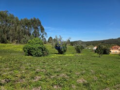 Terreno R�stico T0 - Lamas, Cadaval, Lisboa - Miniatura: 3/6