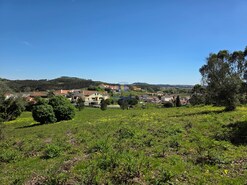 Terreno R�stico T0 - Lamas, Cadaval, Lisboa - Miniatura: 5/6