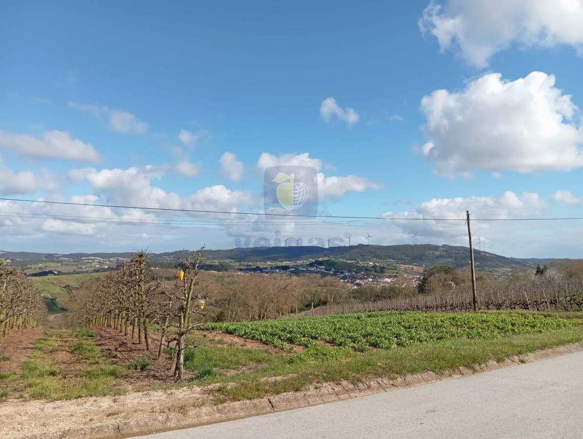 Moradia T2 - A dos Francos, Caldas da Rainha, Leiria - Miniatura: 2/9