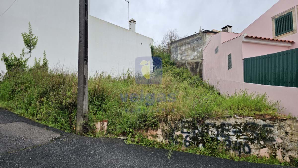 Terreno R�stico T0 - Cadaval, Cadaval, Lisboa - Miniatura: 3/13