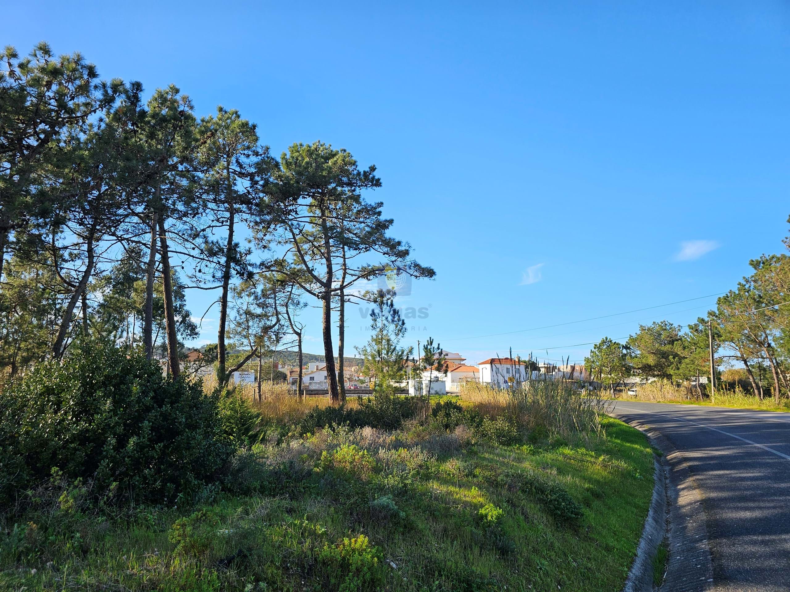 Terreno R�stico T0 - Tornada, Caldas da Rainha, Leiria - Miniatura: 6/18