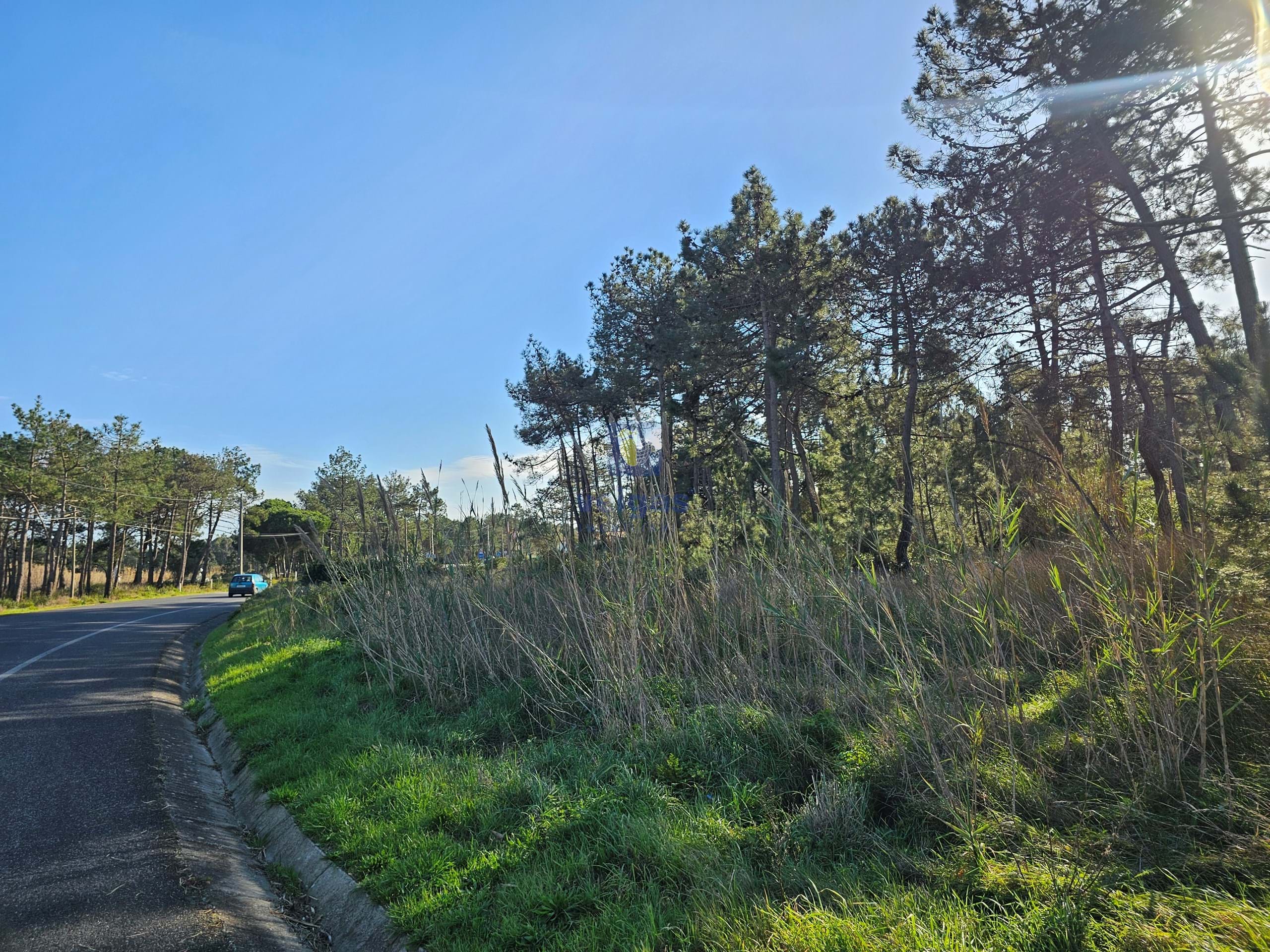 Terreno R�stico T0 - Tornada, Caldas da Rainha, Leiria - Miniatura: 13/18
