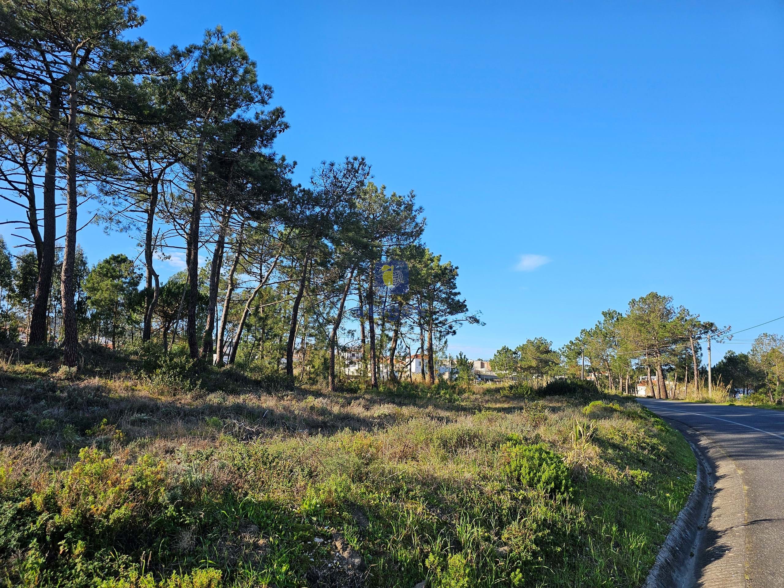 Terreno R�stico T0 - Tornada, Caldas da Rainha, Leiria - Miniatura: 17/18