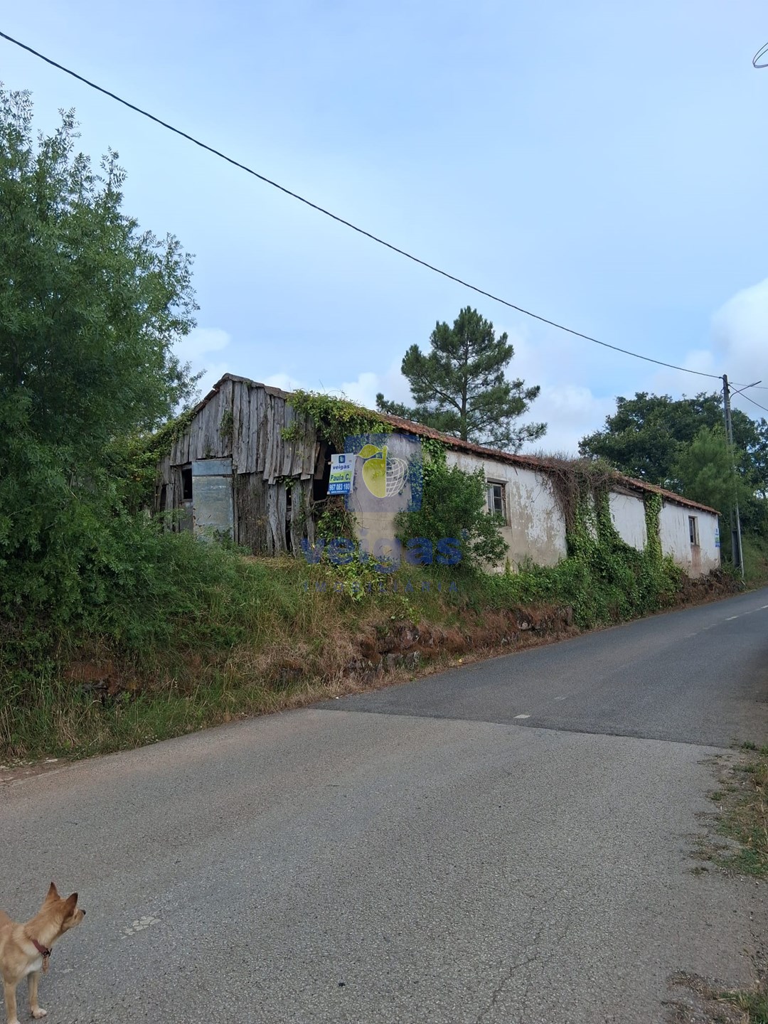 Moradia T0 - Alvorninha, Caldas da Rainha, Leiria - Miniatura: 10/12