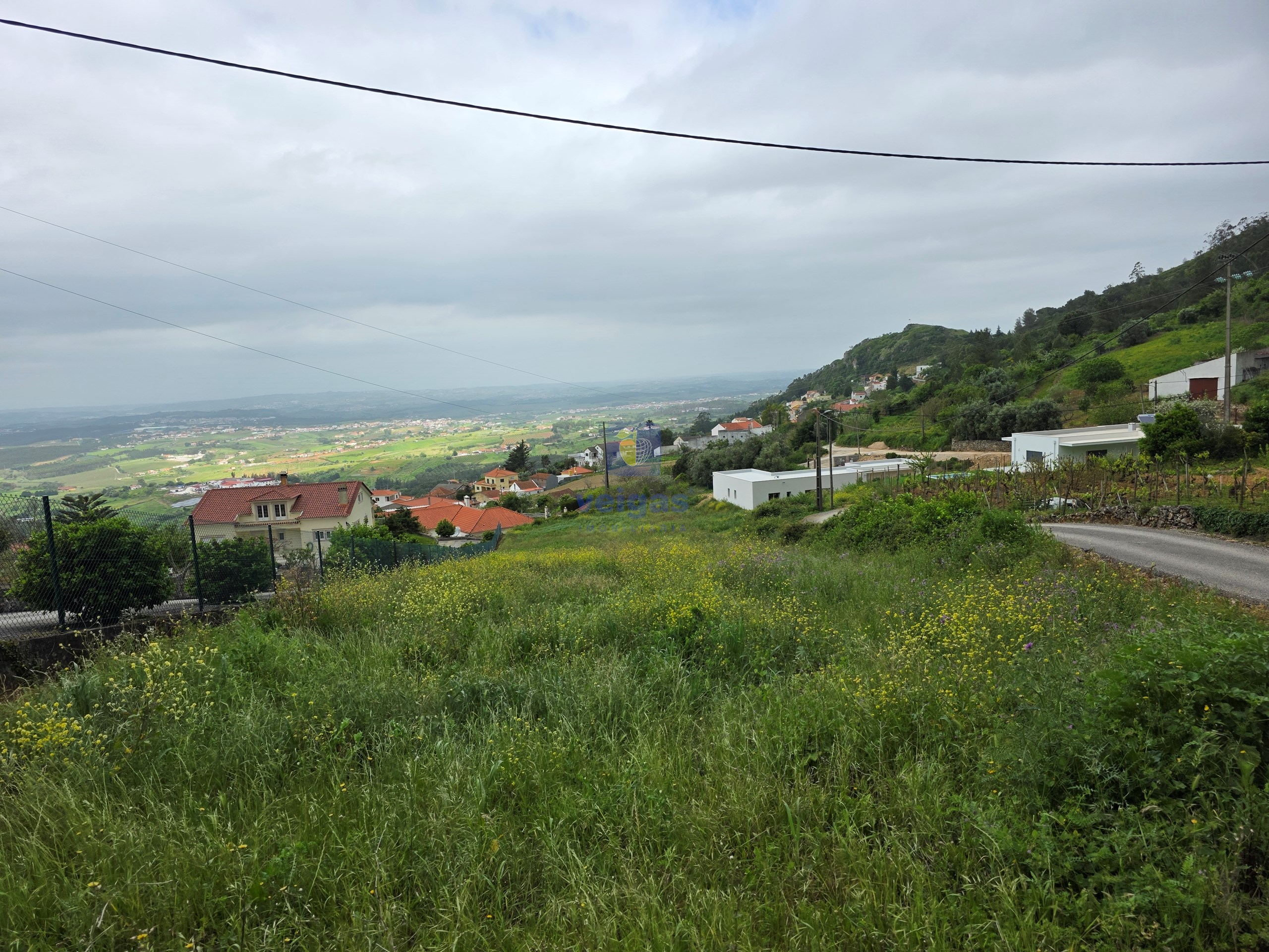 Terreno R�stico T0 - Lamas, Cadaval, Lisboa - Miniatura: 5/14