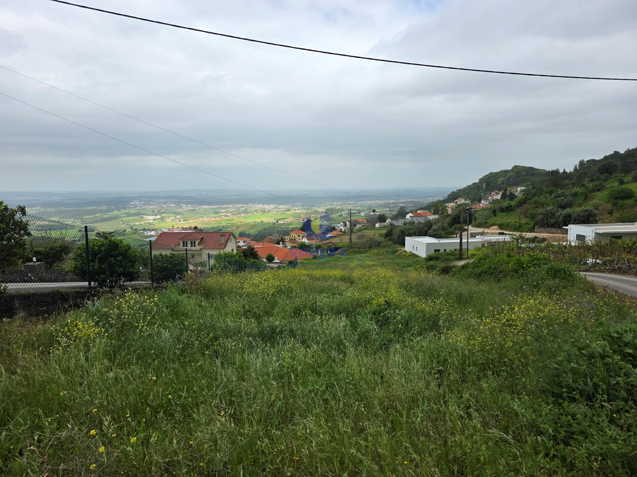 Terreno R�stico T0 - Lamas, Cadaval, Lisboa - Miniatura: 7/14