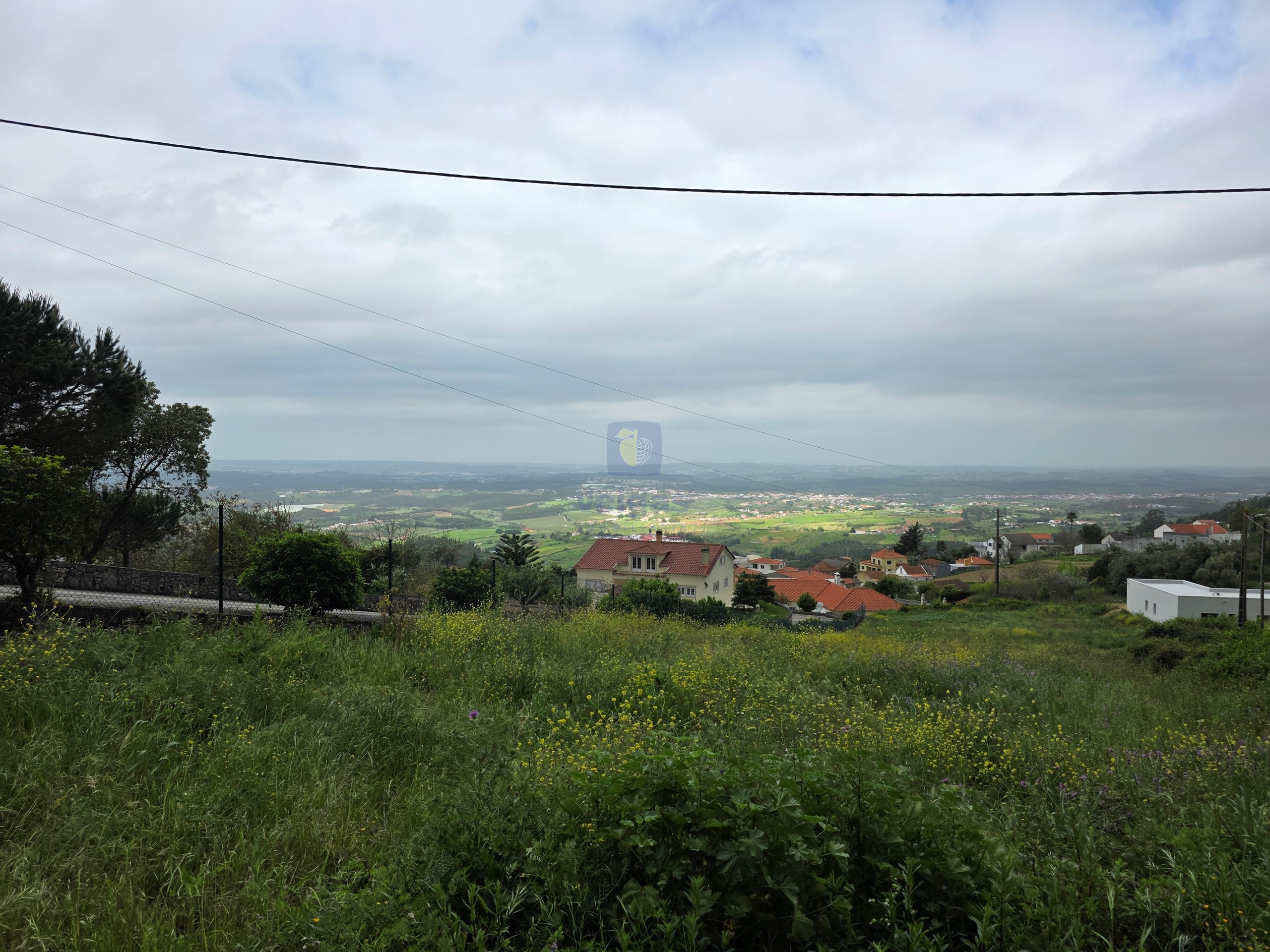 Terreno R�stico T0 - Lamas, Cadaval, Lisboa - Miniatura: 8/14