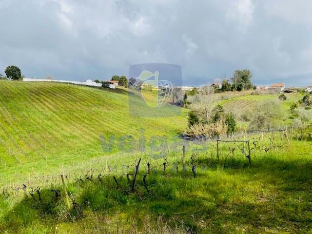 Terreno R�stico T0 - Caldas da Rainha, Caldas da Rainha, Leiria - Miniatura: 4/6