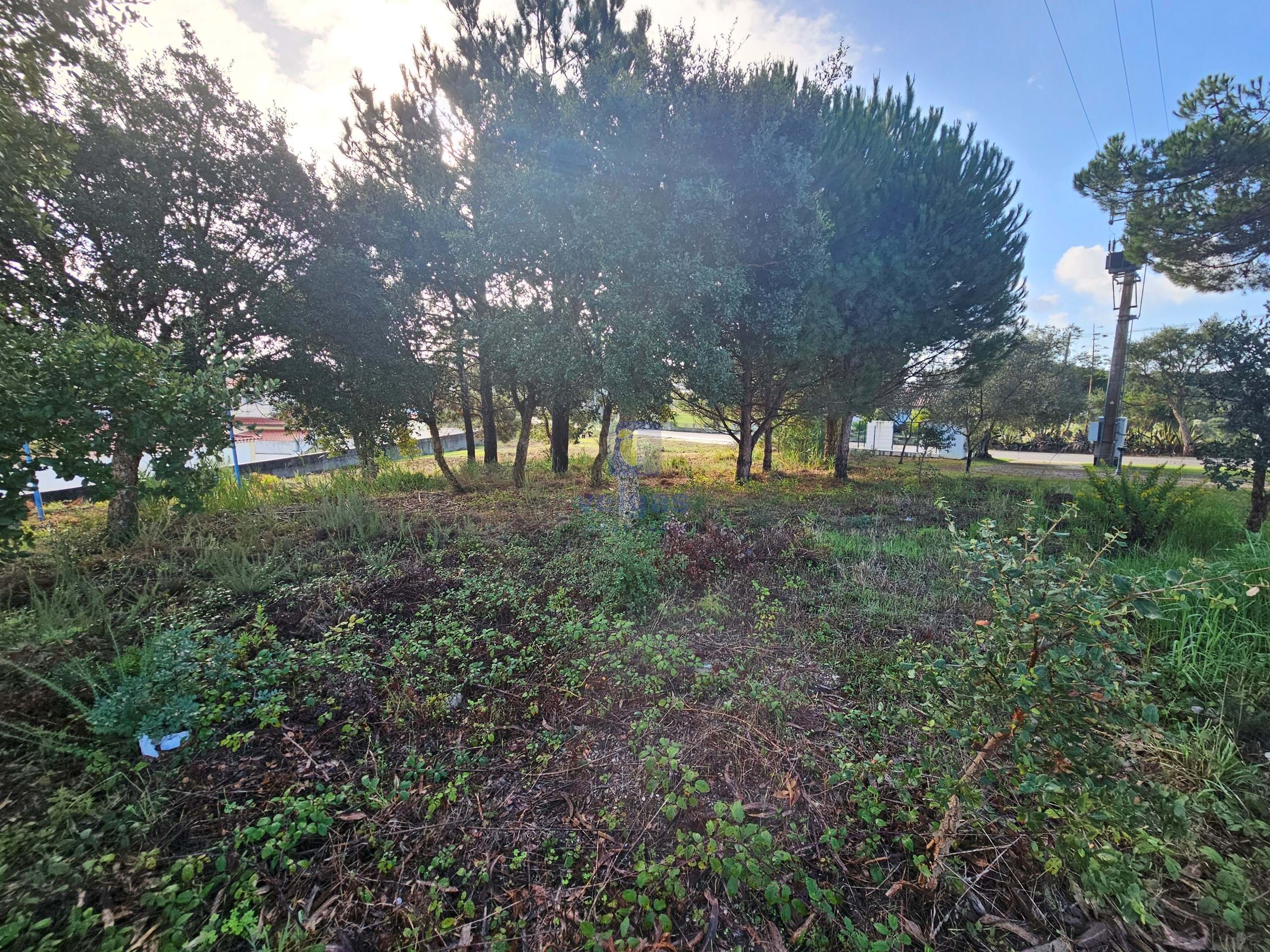 Terreno R�stico T0 - Nadadouro, Caldas da Rainha, Leiria - Imagem grande