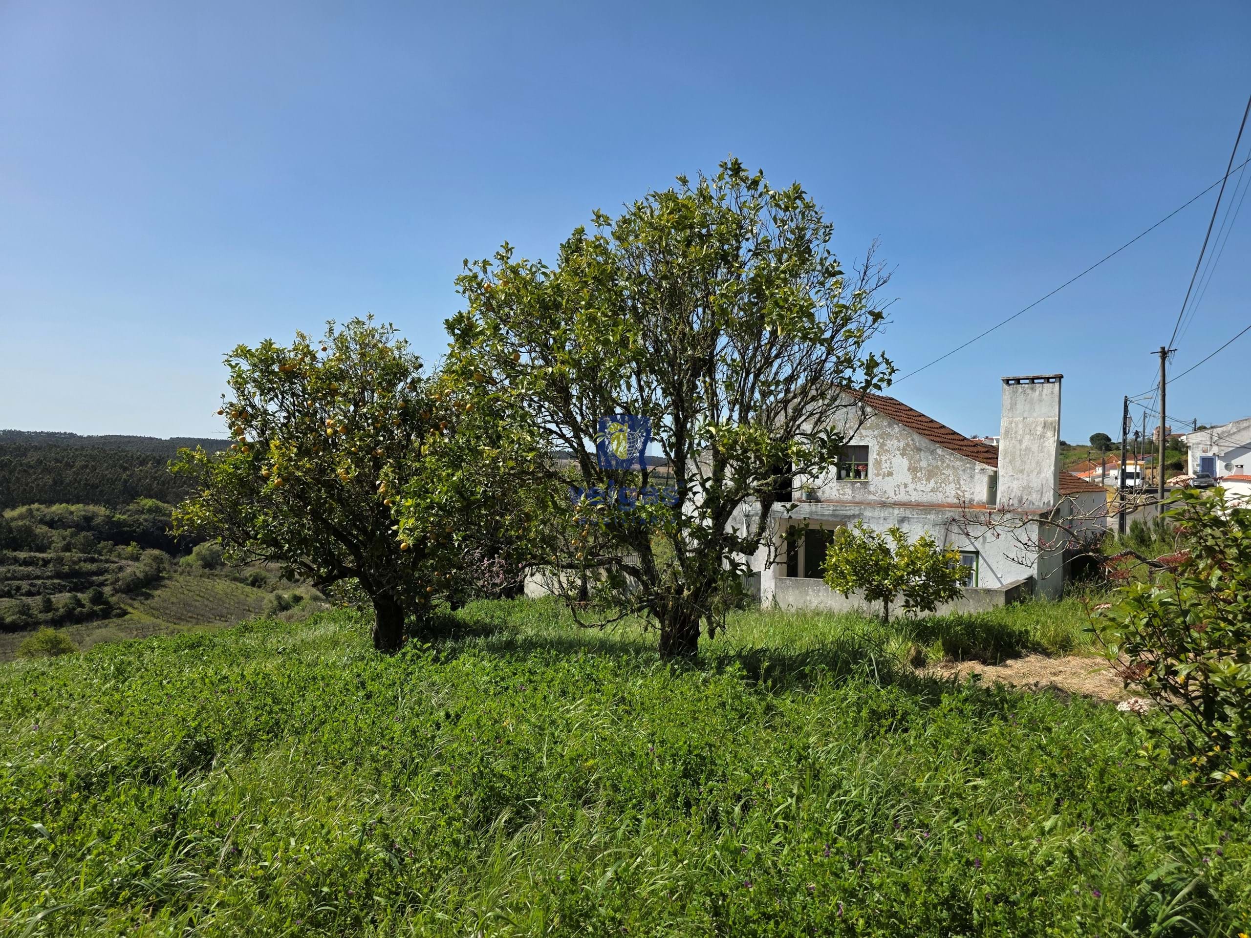 Moradia T3 - Vidais, Caldas da Rainha, Leiria - Imagem grande