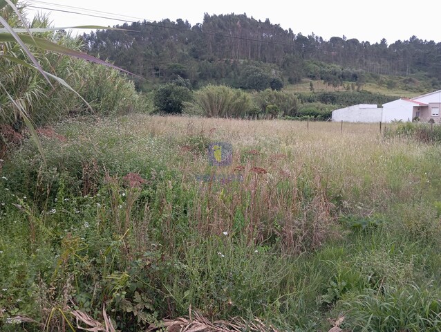 Terreno R�stico T0 - Salir de Matos, Caldas da Rainha, Leiria - Imagem grande