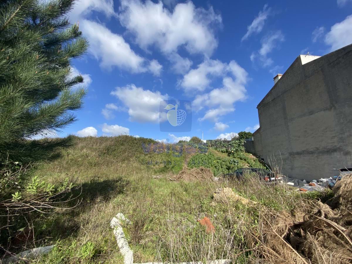 Terreno R�stico T0 - Vimeiro, Alcoba�a, Leiria