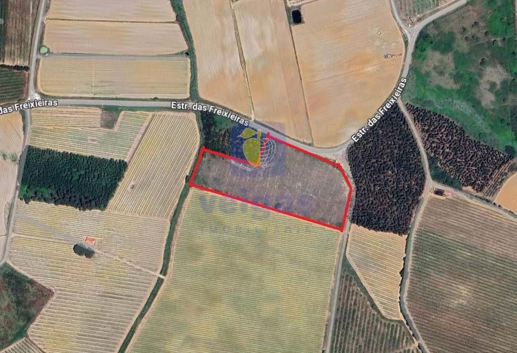 Terreno R�stico T0 - Reguengo Grande, Lourinh�, Lisboa