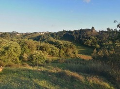 Terreno Rstico T0 - Alvorninha, Caldas da Rainha, Leiria - Miniatura: 1/5