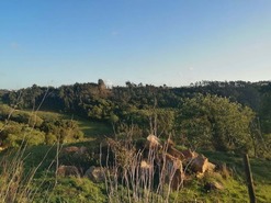 Terreno Rstico T0 - Alvorninha, Caldas da Rainha, Leiria - Miniatura: 2/5