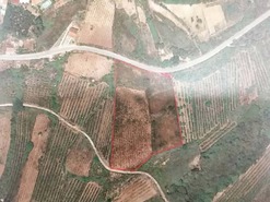 Terreno Rstico T0 - Alvorninha, Caldas da Rainha, Leiria - Miniatura: 5/5