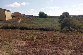 Terreno Rstico T0 - Alvorninha, Caldas da Rainha, Leiria - Miniatura: 3/10